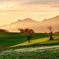 evening :: Elena Wymann evening :: Elena Wymann