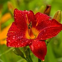 4027 :: Alex . 4027 :: Alex .