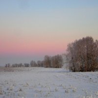 Розовый вечер. :: nadyasilyuk Вознюк Розовый вечер. :: nadyasilyuk Вознюк