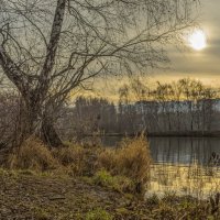 Светит но не греет. :: Николай Светит но не греет. :: Николай