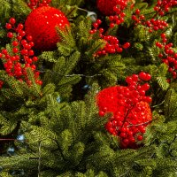 На ёлке :: Анатолий Чикчирный На ёлке :: Анатолий Чикчирный