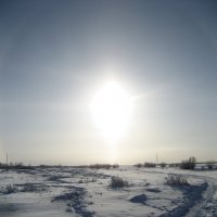 Солнечный день :: Anna Ivanova Солнечный день :: Anna Ivanova