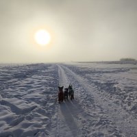 Зимние прогулки :: Anna Ivanova