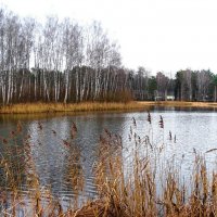 Зима в начале декабря. :: Милешкин Владимир Алексеевич Зима в начале декабря. :: Милешкин Владимир Алексеевич