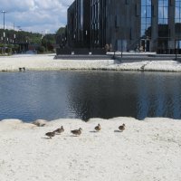 про Екатеринбург :: Елена Шаламова про Екатеринбург :: Елена Шаламова