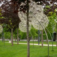 Парк Галицкого в Краснодаре :: Игорь Сикорский Парк Галицкого в Краснодаре :: Игорь Сикорский