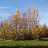 Картинки осени :: Рита Симонова Картинки осени :: Рита Симонова