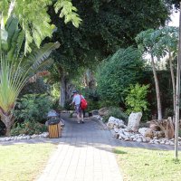 Водолечебница :: Аркадий Басович