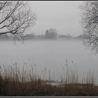 *** :: Aleksandr Gal *** :: Aleksandr Gal