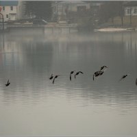 *** :: Aleksandr Gal *** :: Aleksandr Gal