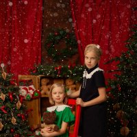 Новогодний портрет :: Наталья Муравейко