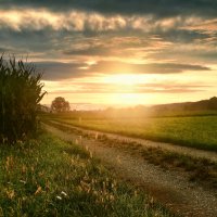 morning :: Elena Wymann morning :: Elena Wymann