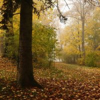 Ноябрьское утро :: Юрий. Шмаков Ноябрьское утро :: Юрий. Шмаков