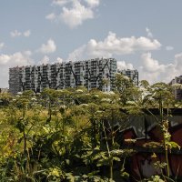 Кудрово :: Chortyla Кудрово :: Chortyla