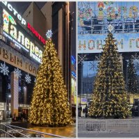 Первые признаки приближающегося Нового года :: Татьяна Машошина Первые признаки приближающегося Нового года :: Татьяна Машошина