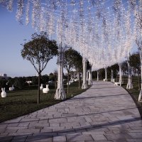 Дорожка в кроличью нору. :: Юрий Полторыхин. Дорожка в кроличью нору. :: Юрий Полторыхин.