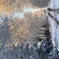 Зима :: Ольга Савельева Зима :: Ольга Савельева