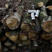 Инсталляция в парке :: Любовь Инсталляция в парке :: Любовь