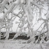 Снежной зимой :: Елена Семигина Снежной зимой :: Елена Семигина