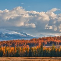 Дыхание осени... :: Марина Юдинских Дыхание осени... :: Марина Юдинских