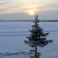 Зима у озера :: Ольга Зима у озера :: Ольга