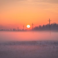 **** :: Елизавета .