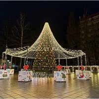 Новогодняя ёлка Зеленоградска. :: Валерия Комова Новогодняя ёлка Зеленоградска. :: Валерия Комова