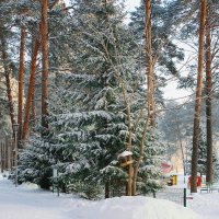 В парке :: Галина Нестратова В парке :: Галина Нестратова