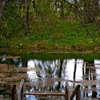 ПЕТРОВСКОЕ, вотчина Ганнибалов. :: Виктор Осипчук ПЕТРОВСКОЕ, вотчина Ганнибалов. :: Виктор Осипчук