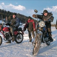 МЕСТНЫЕ :: Александр Кустов МЕСТНЫЕ :: Александр Кустов