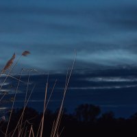 Безмятежная вечерняя атмосфера :: Сергей В