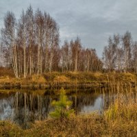 Во такая зима в Подмосковье 5 :: Андрей Дворников Во такая зима в Подмосковье 5 :: Андрей Дворников