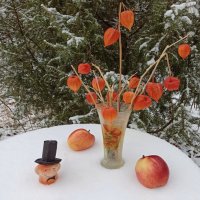 Третья репетиция первого снега! :: veilins veilins