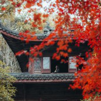 Осень в парке :: Дмитрий Осень в парке :: Дмитрий