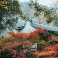 Осень в парке в Ханчжоу :: Дмитрий Осень в парке в Ханчжоу :: Дмитрий