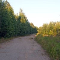 Прогулка по окресностям. :: ВикТор Быстров Прогулка по окресностям. :: ВикТор Быстров