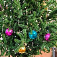 Уже ёлки наряжают! :: Надежда Уже ёлки наряжают! :: Надежда