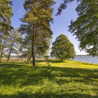 У озера. :: Николай 