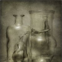 *** :: Oleg Rastorguev