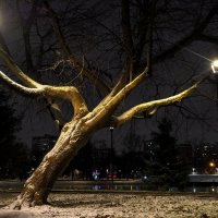 Вечрний Город :: юрий поляков Вечрний Город :: юрий поляков