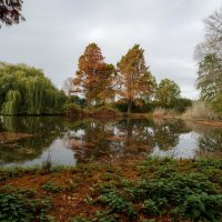 Время увядания... :: Николай Гирш Время увядания... :: Николай Гирш