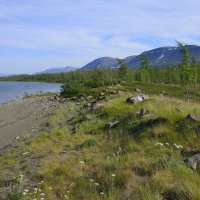 *** :: Александр Хаецкий *** :: Александр Хаецкий