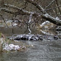 Над речушкой :: sorovey Sol