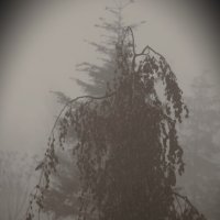 Оно идет на меня! :: Юрий Полторыхин. Оно идет на меня! :: Юрий Полторыхин.