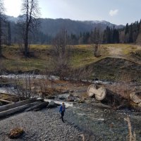 Абхазия ноябрь 2025 :: Tata Wolf