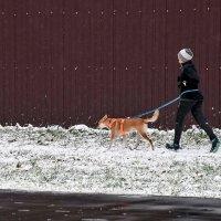 На пробежке :: Валерий Иванович На пробежке :: Валерий Иванович