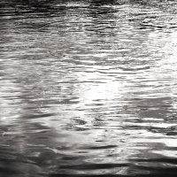 Фотография :: Денис Безногов