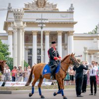 - :: Владимир Мигонькин - :: Владимир Мигонькин