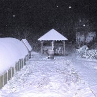 Вот и зима пришла :: Людмила Смородинская