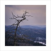 * :: Александр Иванов * :: Александр Иванов